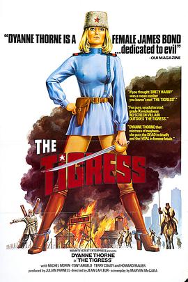 儋州网站seo优化